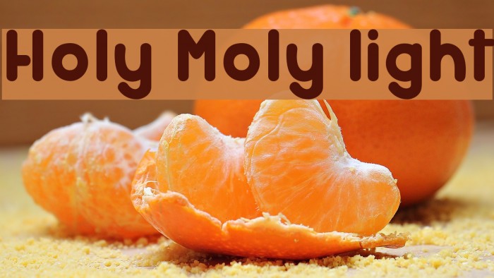 Holy Moly light Font examples