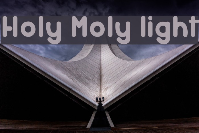 Holy Moly light Font examples
