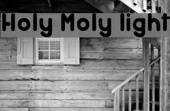 Holy Moly light Font examples