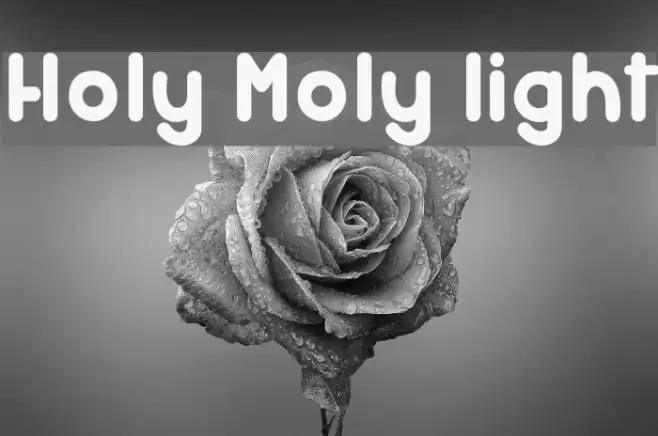 Holy Moly light Font examples