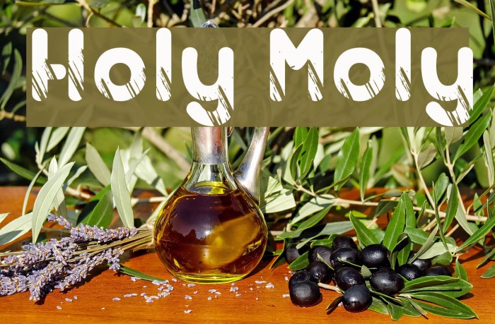 Holy Moly Font examples