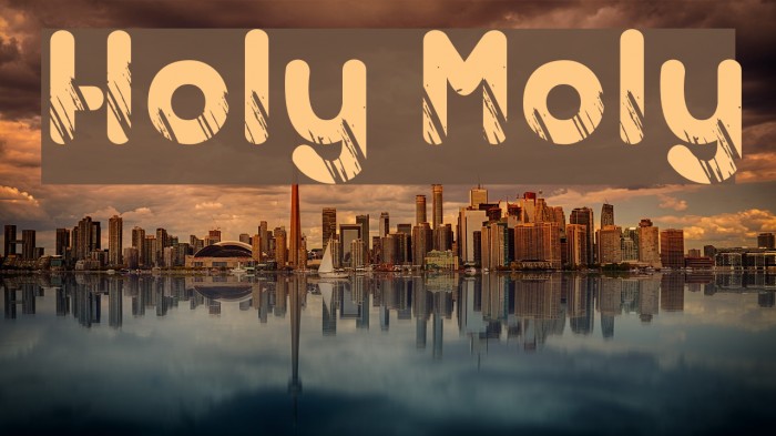 Holy Moly Font examples