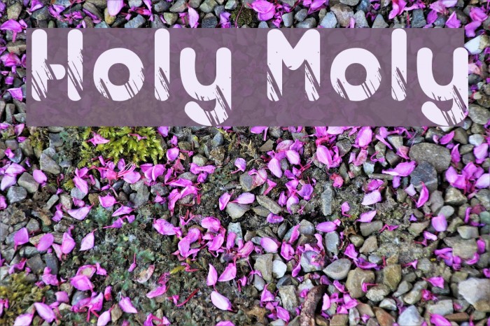 Holy Moly Font examples
