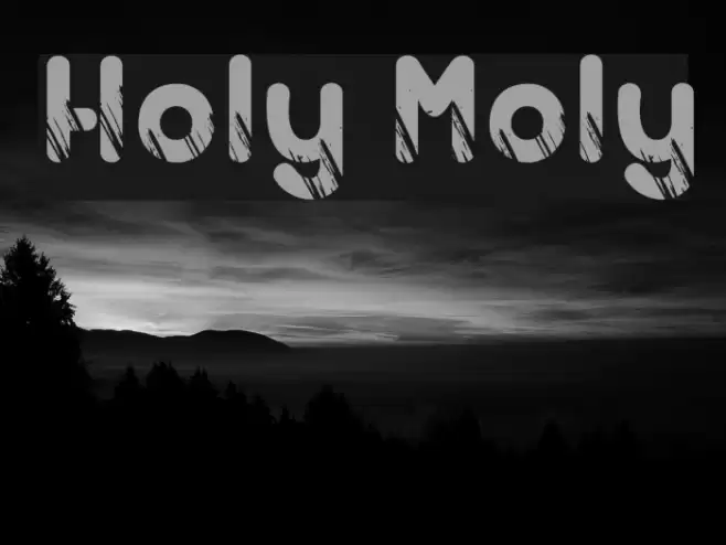 Holy Moly Font examples