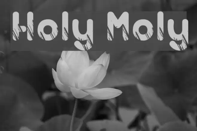 Holy Moly Font examples