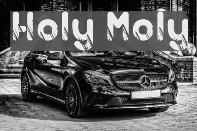 Holy Moly Font examples