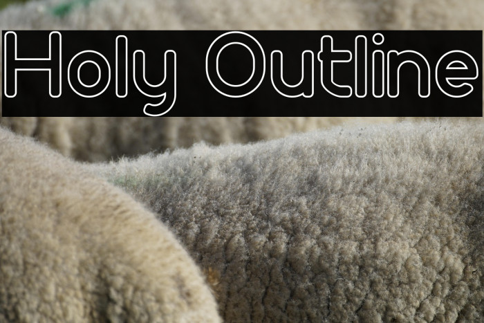 Holy Outline Example 3