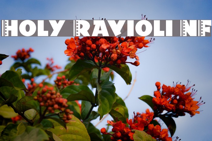Holy Ravioli NF Font examples
