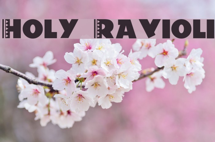 Holy-Ravioli Caratteri examples