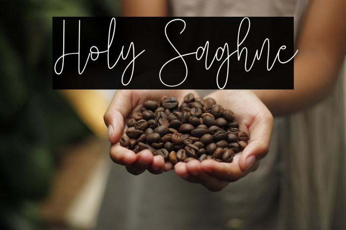 Holy Saghne Example 2