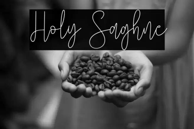 Holy Saghne Caratteri examples