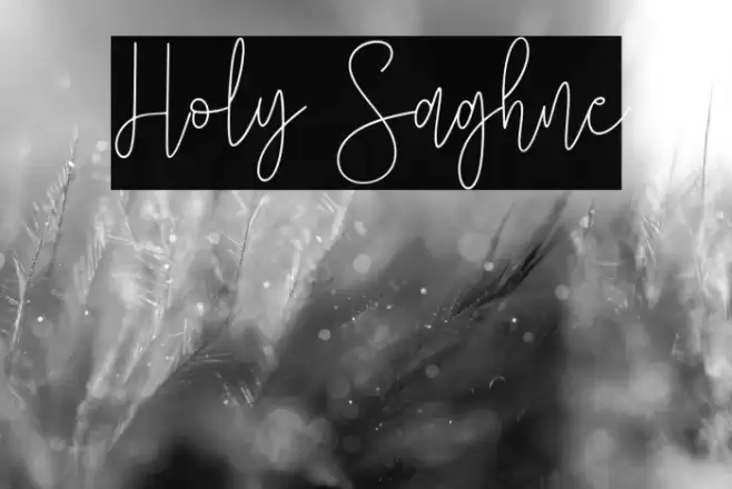 Holy Saghne Caratteri examples