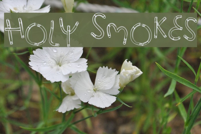 Holy Smokes Font examples