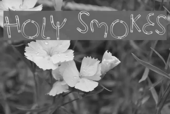 Holy Smokes Schriftart examples