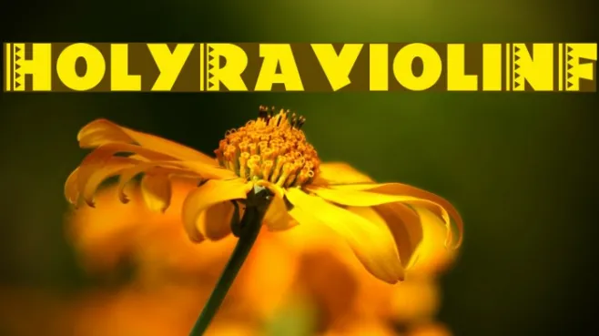 HolyRavioliNF Example 2