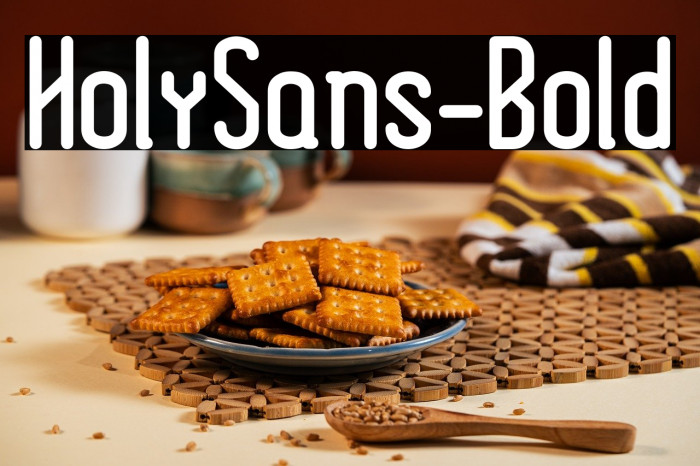 HolySans-Bold Example 2