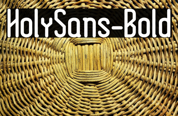 HolySans-Bold Example 3