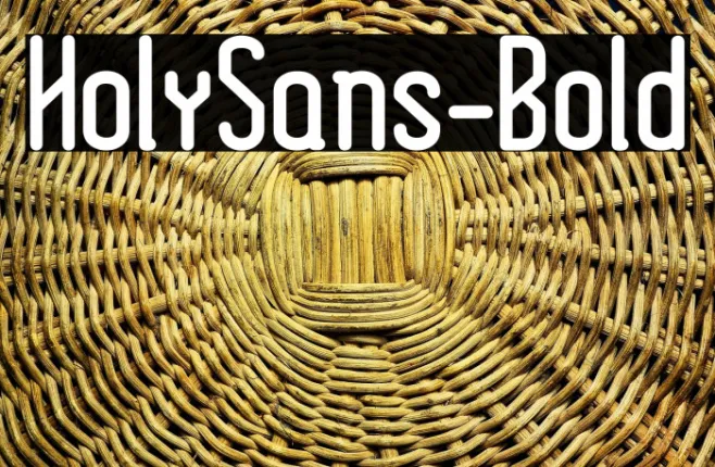 HolySans-Bold Example 3