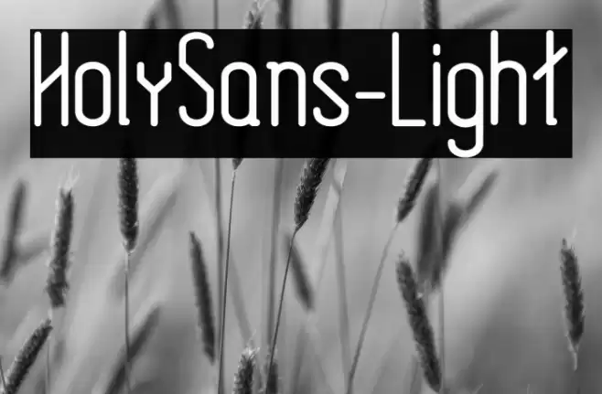 HolySans-Light Font examples