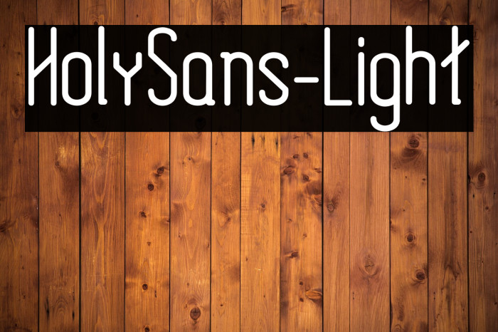 HolySans-Light Example 2