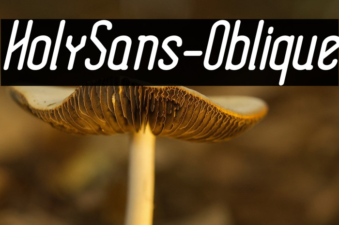 HolySans-Oblique Example 3