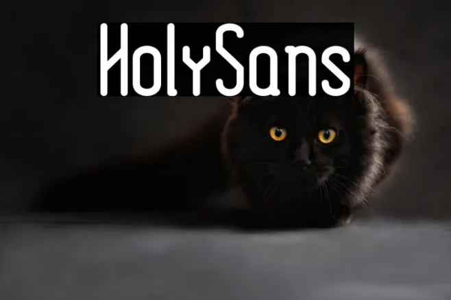HolySans Example 1