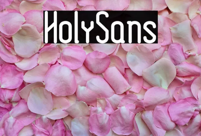 HolySans Example 3
