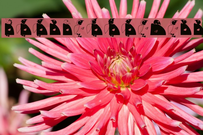 HolySimplicity Example 2