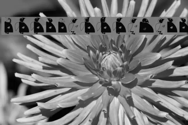 HolySimplicity Font examples