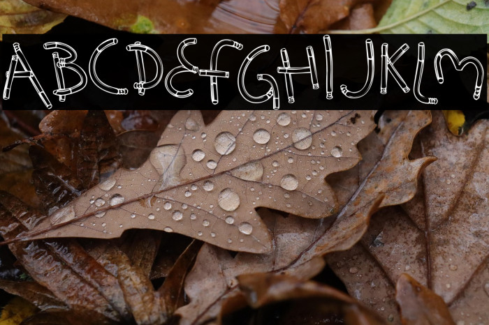 HolySmokes-Regular Example 2