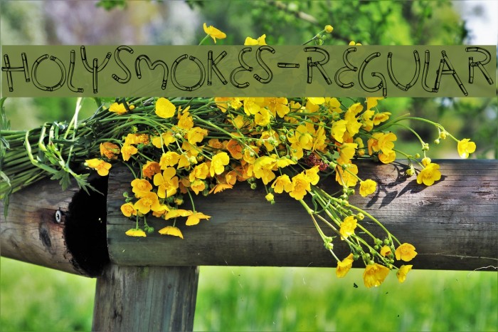 HolySmokes-Regular Font examples