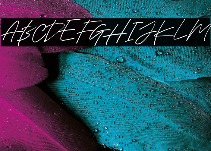 HolybuckDEMO Example 3