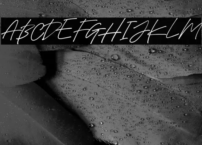 HolybuckDEMO Font examples