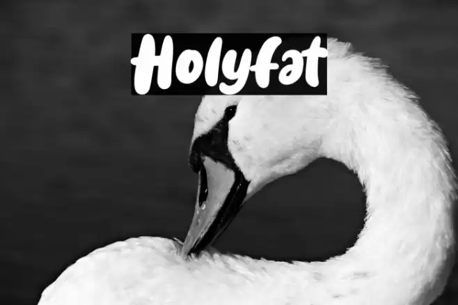 Holyfat Font examples