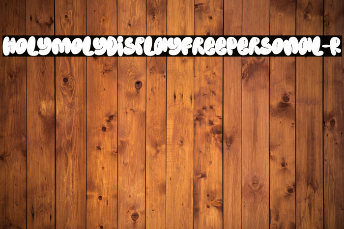 HolymolyDisplayFreePersonal-R Example 2