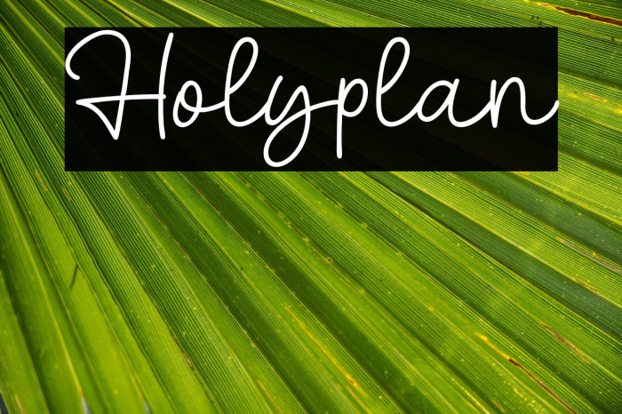 Holyplan Example 1