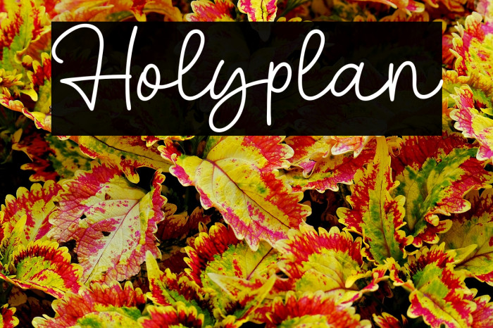 Holyplan Example 2