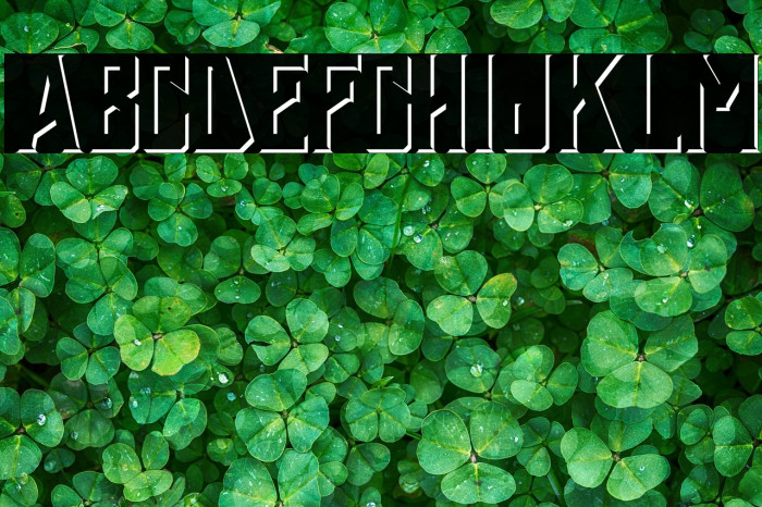 Holyriver Shadow Example 2