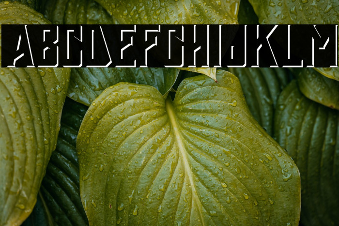 Holyriver Shadow Example 2