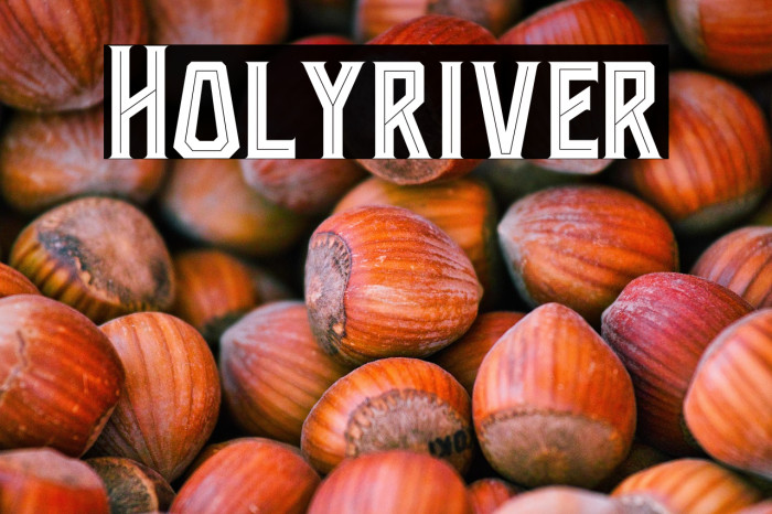 Holyriver Example 2