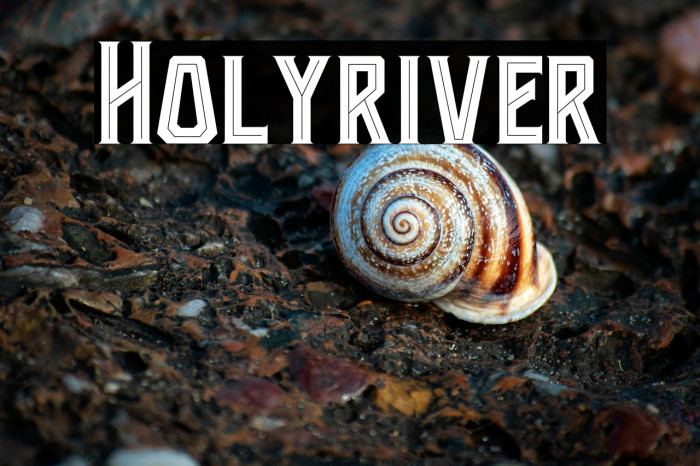 Holyriver Example 3
