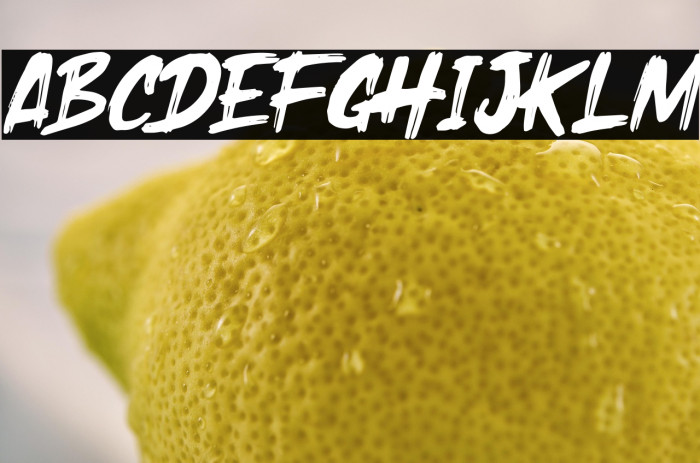 Holyrock Italic Example 1