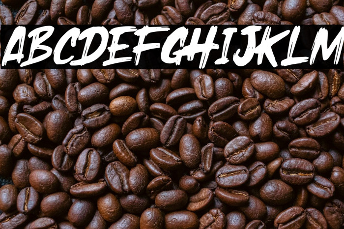 Holyrock Italic Example 2