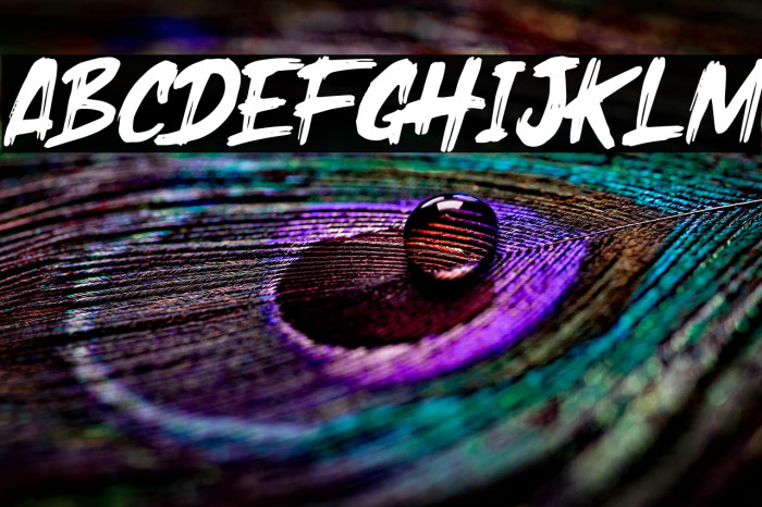 Holyrock Italic Example 3