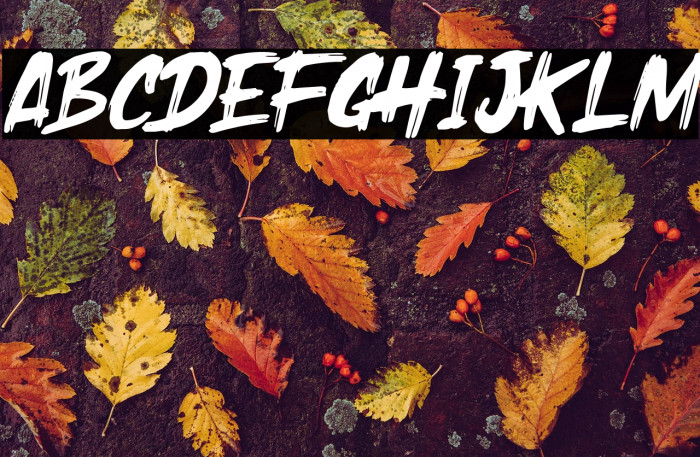 Holyrock Italic Example 3