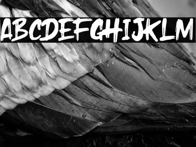 Holyrock Font examples