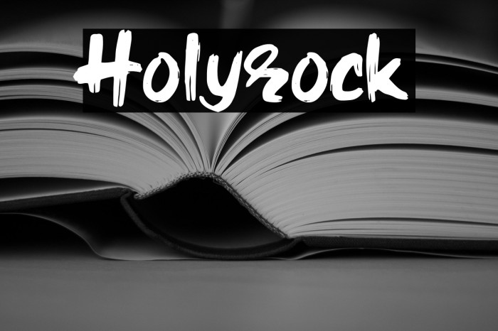 Holyrock Example 1