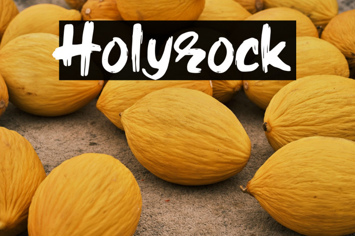 Holyrock Example 2