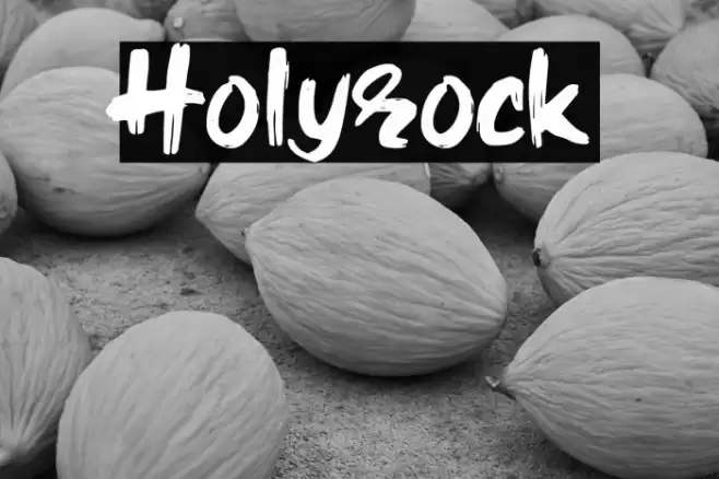Holyrock Font examples