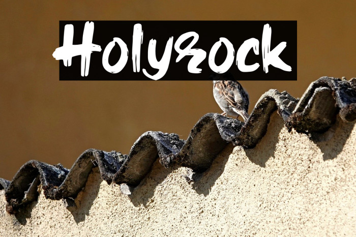 Holyrock Example 3